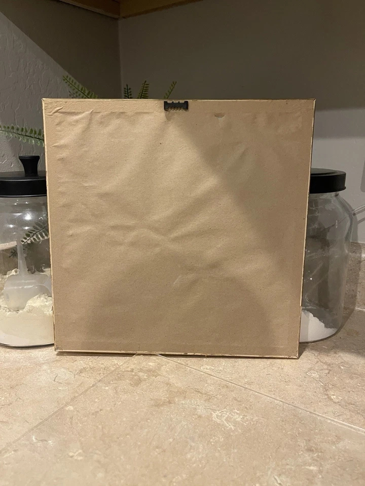 Itzchak Tarkay Mara enmarcado personalizado Foto 2 de 2