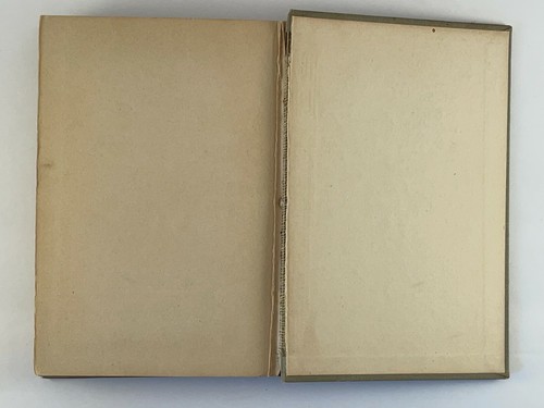 Lagerfeuer Mädchen Bergsteigen Irene Elliott Benson 1918 Hardcover Erstausgabe - Bild 4 von 12