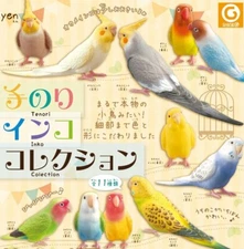 Parakeet Collection Capsule Toy All 11 Types Gacha Gachapon Japan NCS