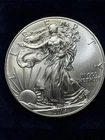 2014, 1 oz American Silver Eagle Coin .999 Silver.