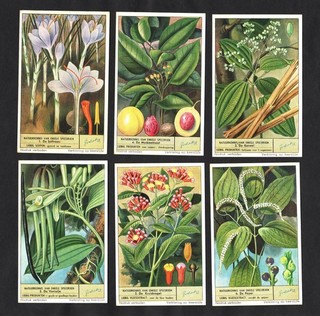 Spices Liebig Cards Set 1953 Plants Safron Clove Pepper Crocus Vanilla Nutmeg
