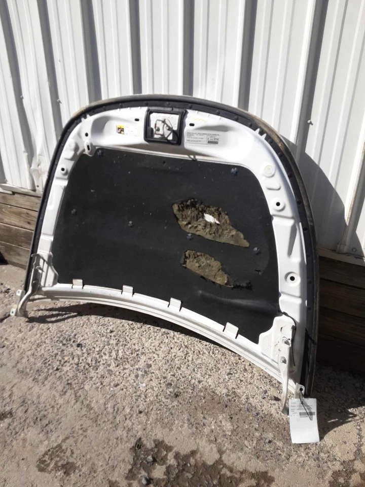 Used Hood fits: 2013 Dodge Dart  Grade A Foto 3 de 4