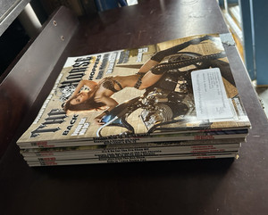 Lot of 10 The Horse Backstreet Choppers & Iron Horse Motorcycle Magazines 2015-2