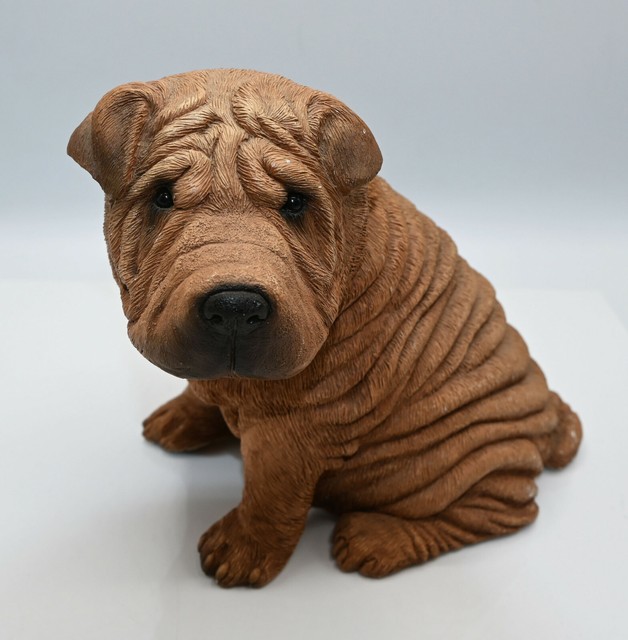 original shar pei dog