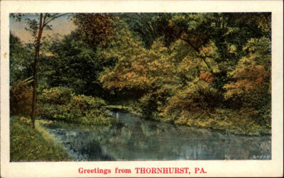 USA Vintage Postcard ~1920/30 Greetings from THORNHURST PA America Amerika