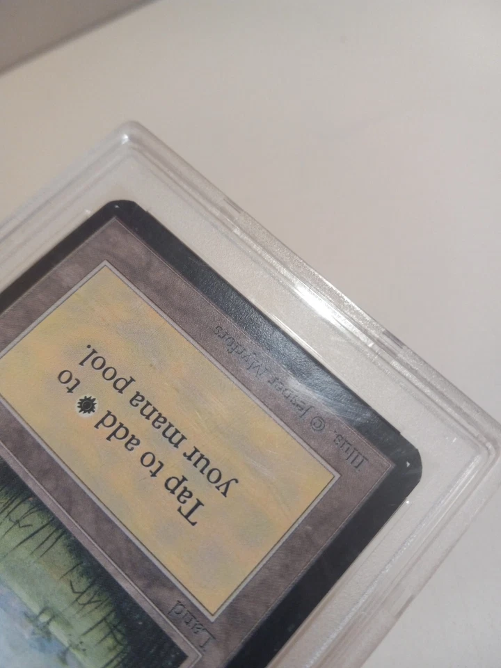 1993 Magic: The Gathering - Limited Edition Alpha Plains (A) PSA 8 - Image 3 of 4