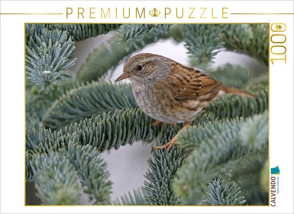 Calvendo Puzzle Dunnock | 1000 Pieces, Finished Size 25.2 × 18.9 In (64 × 48 Cm)-image