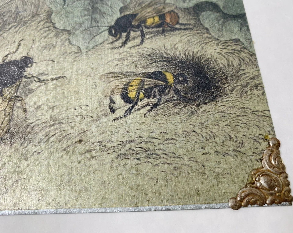 Bumble Bee Collection Wall Hanging Art Magnetic Office Kitchen Decor Foto 4 de 4