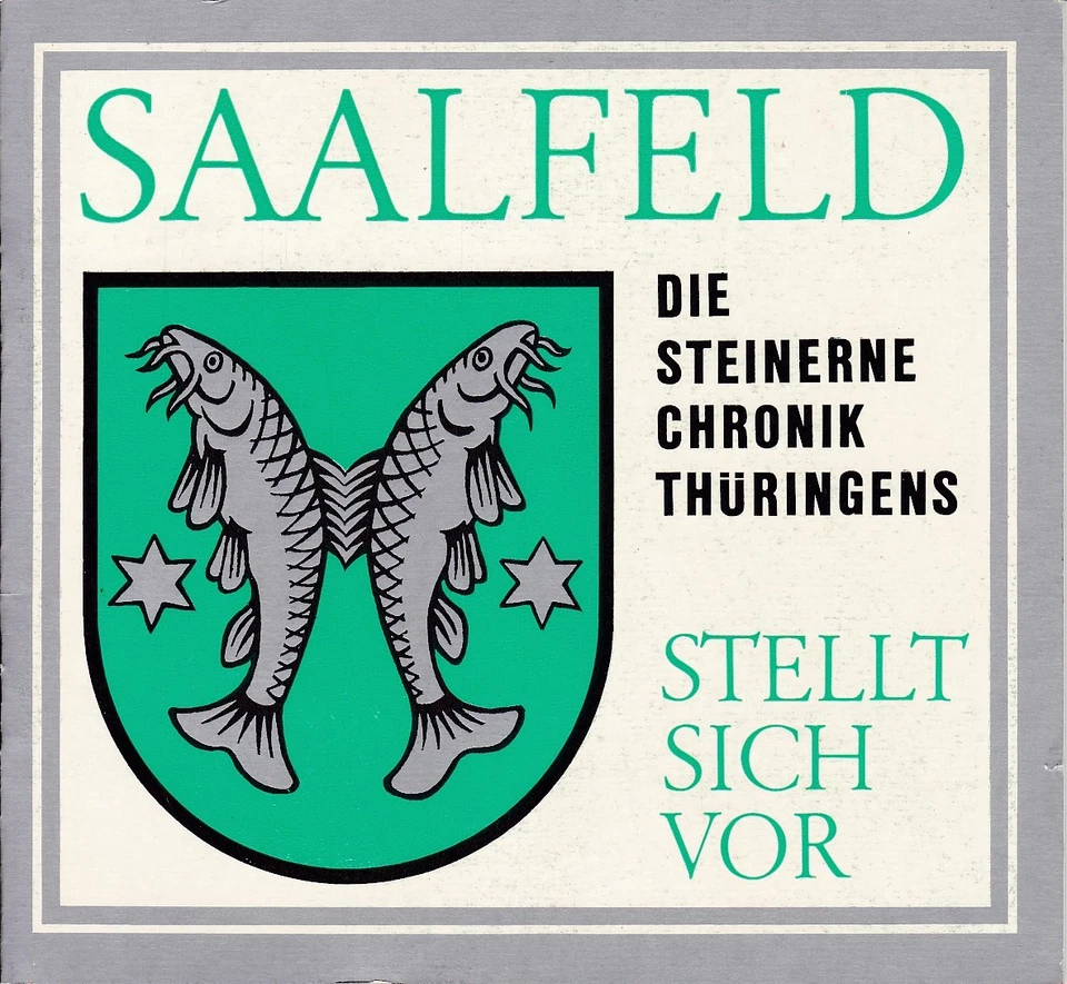Saalfeld - die Steinerne Chronik Thüringens stellt sich vor, Heimatliteratur - Bild 1 von 1