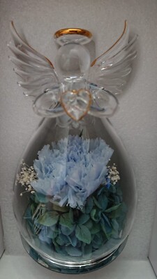 Blue angel carnation flower eternal love