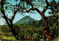 Postcard El Salvador Sonsonate Izaico volcano and poinsettia