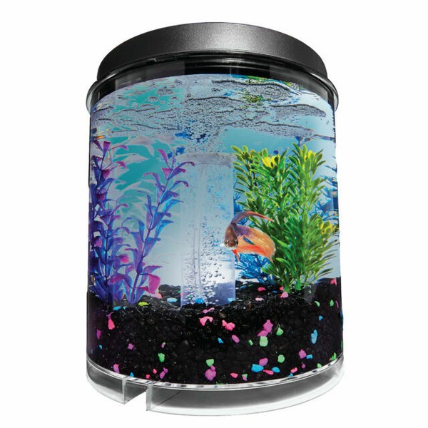 imagitarium fish tank