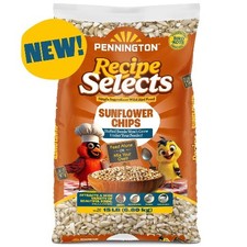 Pennington Recipe Selects Sunflower Chips Wild Bird Food, 15 lb.
