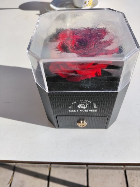 Rosa Preservada