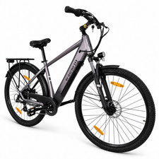 29 Zoll E-Bike Herren Elektro Fahrrad 36V 250W Trekking Fahrrad Grau