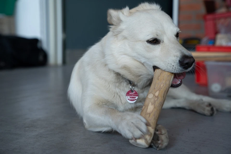 Petsoo Kaffeeholz Kaffee Kauholz Kaustab Kauwurzel Kauknochen S-XL für Hunde - Bild 3 von 4