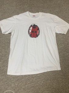 supreme ladybug