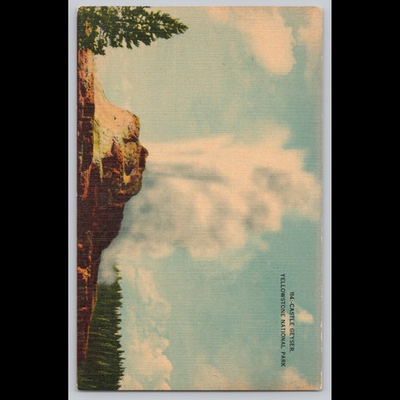 #ad Antique Postcard Castle Geyser Yellowstone National Park Wyoming $17.99