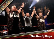2010 TriStar TNA New Era #17 The Nasty Boys