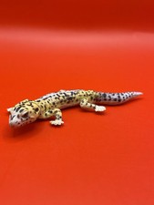 Mini figurine Kaiyodo oeuf chocolat animal japonais vintage léopard gecko