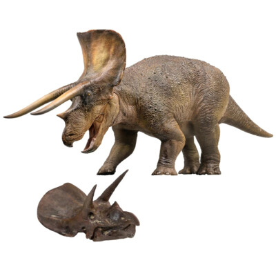 Cabeza De Triceratops Decorativa Para Pared - Réplica En Resina Pintada A Mano, 23 Cm, Ideal Para Decoración Dinosaurios O Regalo
