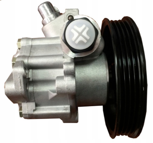 Servopompe direction hydraulique haute durabilité 491102F200 Primera