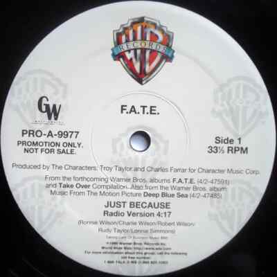 F.A.T.E. Just Because Vinyl Single 12inch Warner