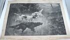 English Setters and Pointer Print by Blinks