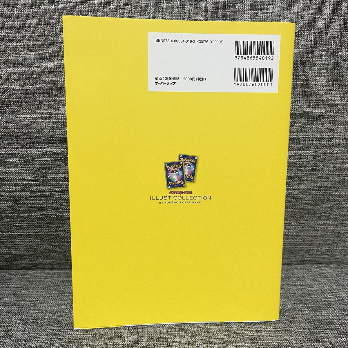 Pokemon Trading Card Game Illustration Collection Art Book Pokemon Trading Card Game Illustration Collection Art Book