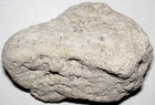 White Ambergris Aged For Perfumes / External Treatment smells nice 1 G