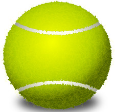 20 Used Tennis Balls - Fun for Dogs - PreOwned