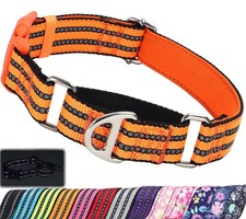 Martingale Collar for Dogs -Reflective Nylon No Slip Choke with Padded Comfor...