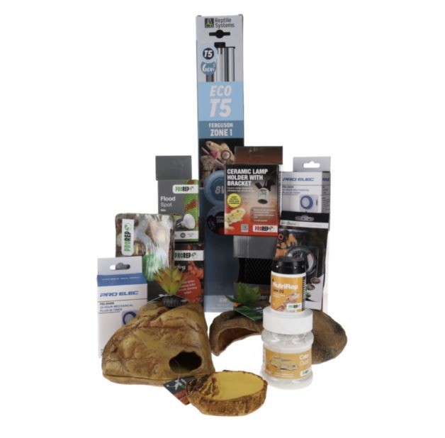 B&Q -  Leopard Gecko Accessory Kit Complete Lighting Heating Setup - Image 2