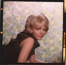 1960's Starlet Vintage 1960's Glamour Pin up Original 2.25 x 2.25 Transparency