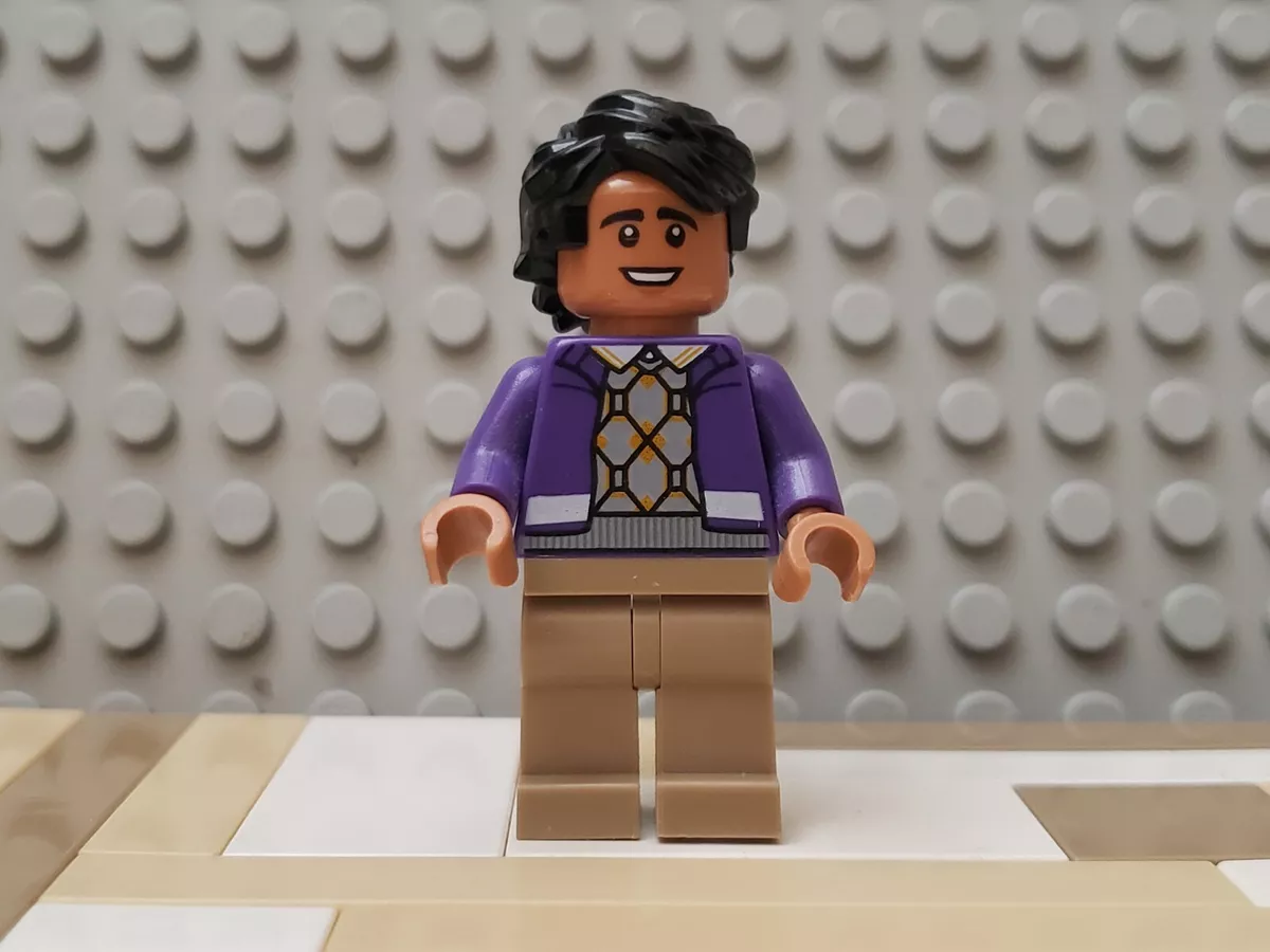 LEGO Raj Koothrappali Minifigure 21302 Big Bang Theory Ideas