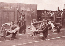 WHIPPET DOG GREETING CARD RACING WAITING TO START GREAT PERIOD IMAGE NOTE CARD