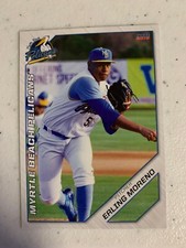 Erling Moreno 2019 Myrtle Beach Pelicans Team Card