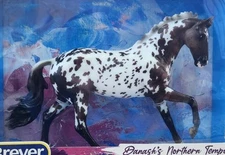 Breyer 2021 Breyerfest Cantering Warmblood "Danash's Northern Tempest". NIB!