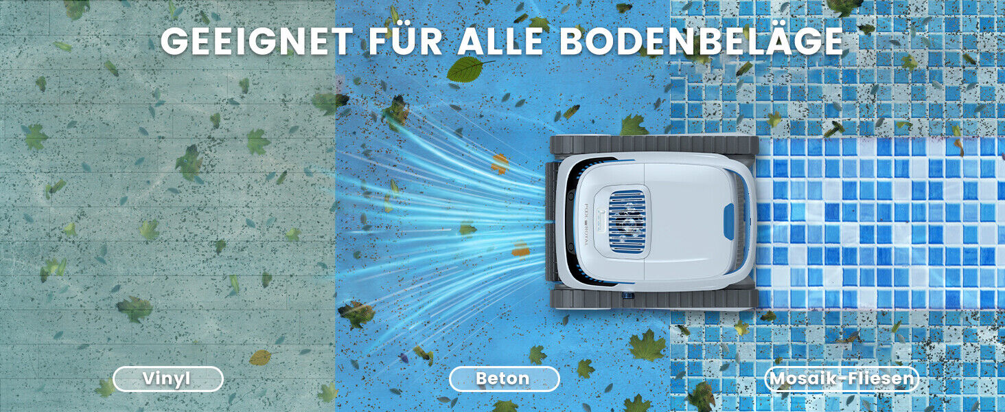 Bild 6 von 12