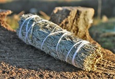 White Sage Smudge Sticks - Californian Sage, Native Desert Sage