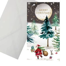 Christmas Money Wallet with Envelope by Museums and Galleries Moonlit Santa