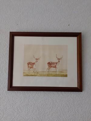 Simon Bull Limited Edition Radierung Damwild 16/200 signiert