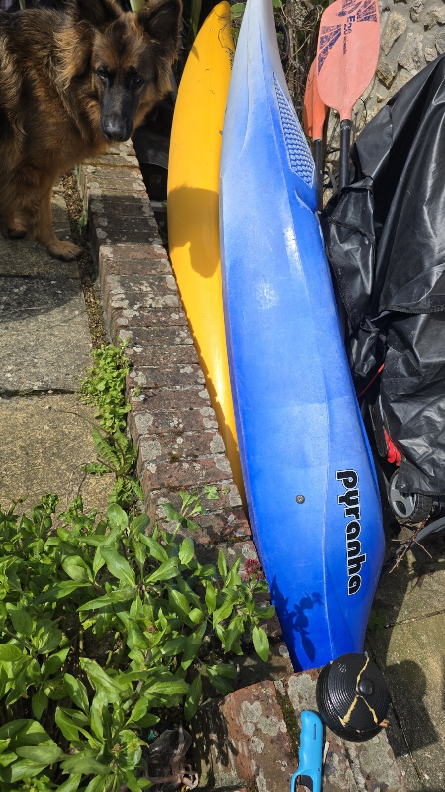 2x Pyranha kayaks eBay