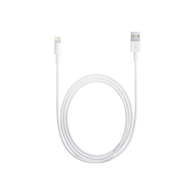 Apple Lightning to USB Cable 1m (MD818ZM/A) Lightning/USB Original 1m Ladekabel