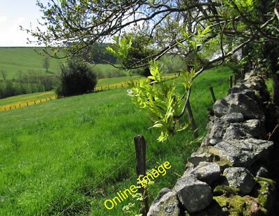 Photo 12x8 Late May and just in leaf Enchmarsh A very cold Spring has ment c2013