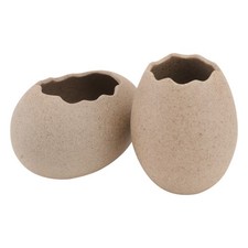 2Pcs Shell Shaped Vase Simple Hydroponics Flower Vase Home Ornament