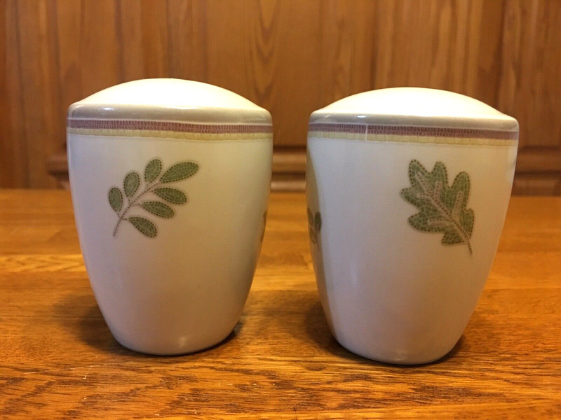 Noritake Casual Stoneware Terrace Walk Salt and Pepper Shakers # 8026