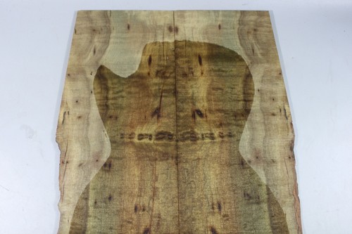 Figure Electric Guitar/Bass Top Worm-hole Golden Phoebe Wood Set Luthier Supply - Picture 2 of 4