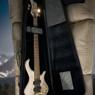 Mayones Patriot 5-String  Electric Bass Guitar w/Gig Bag Original 