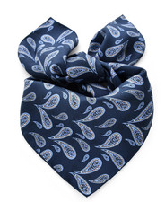100 Silk 25" Scarf square men Women neckerchief Wrap paisley navy blue SC5-D